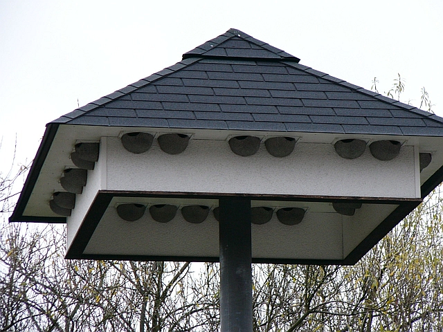 Swallow Houses 111