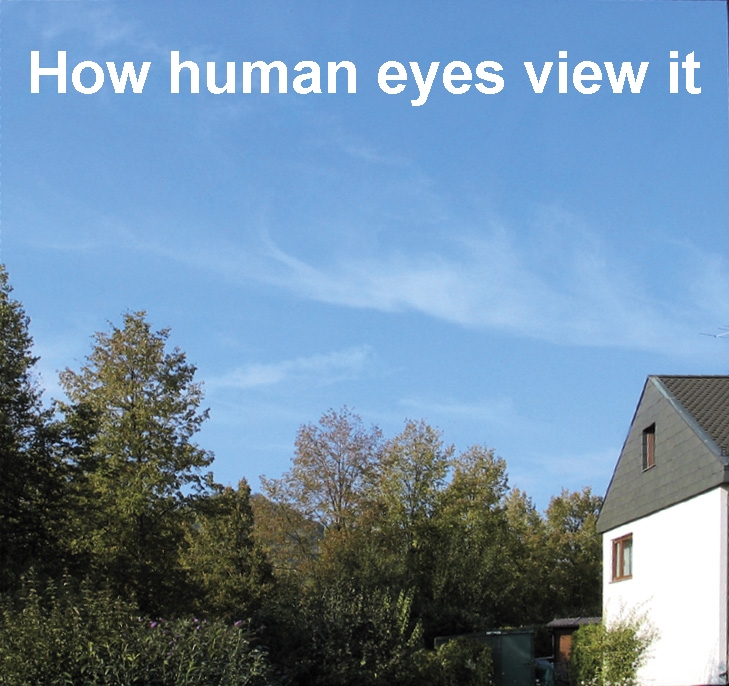 Bird protection with invisible window decals Birdsticker